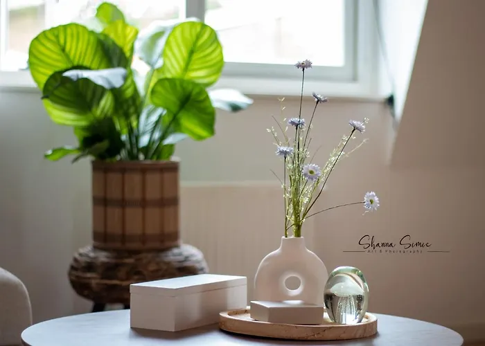 Apartment De Koning By Urban Alkmaar